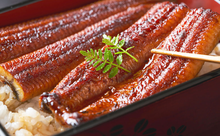 Grilled Unagi (250g) 