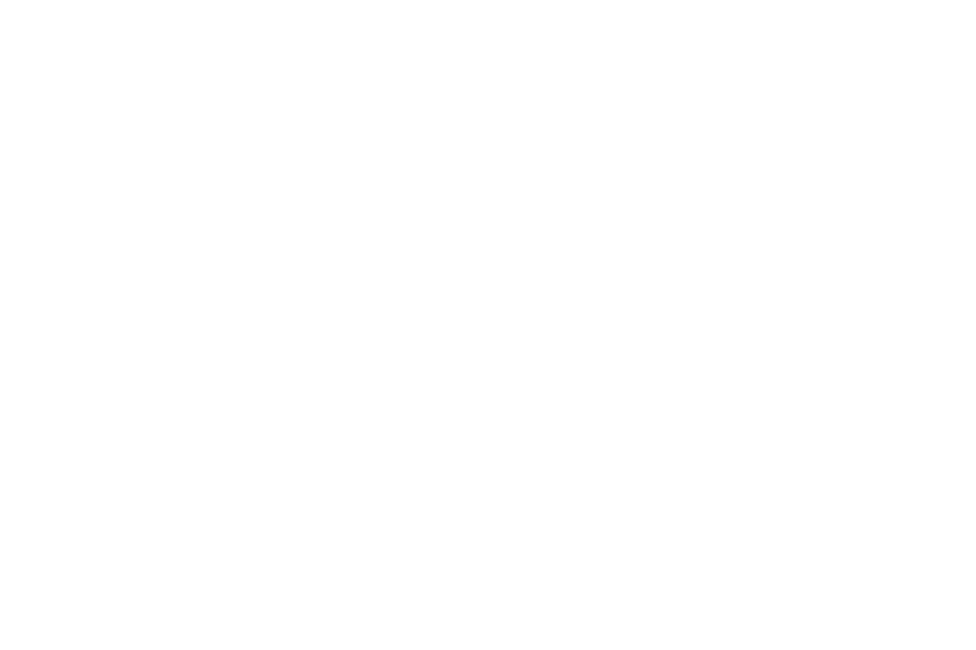 Firecracker Foods